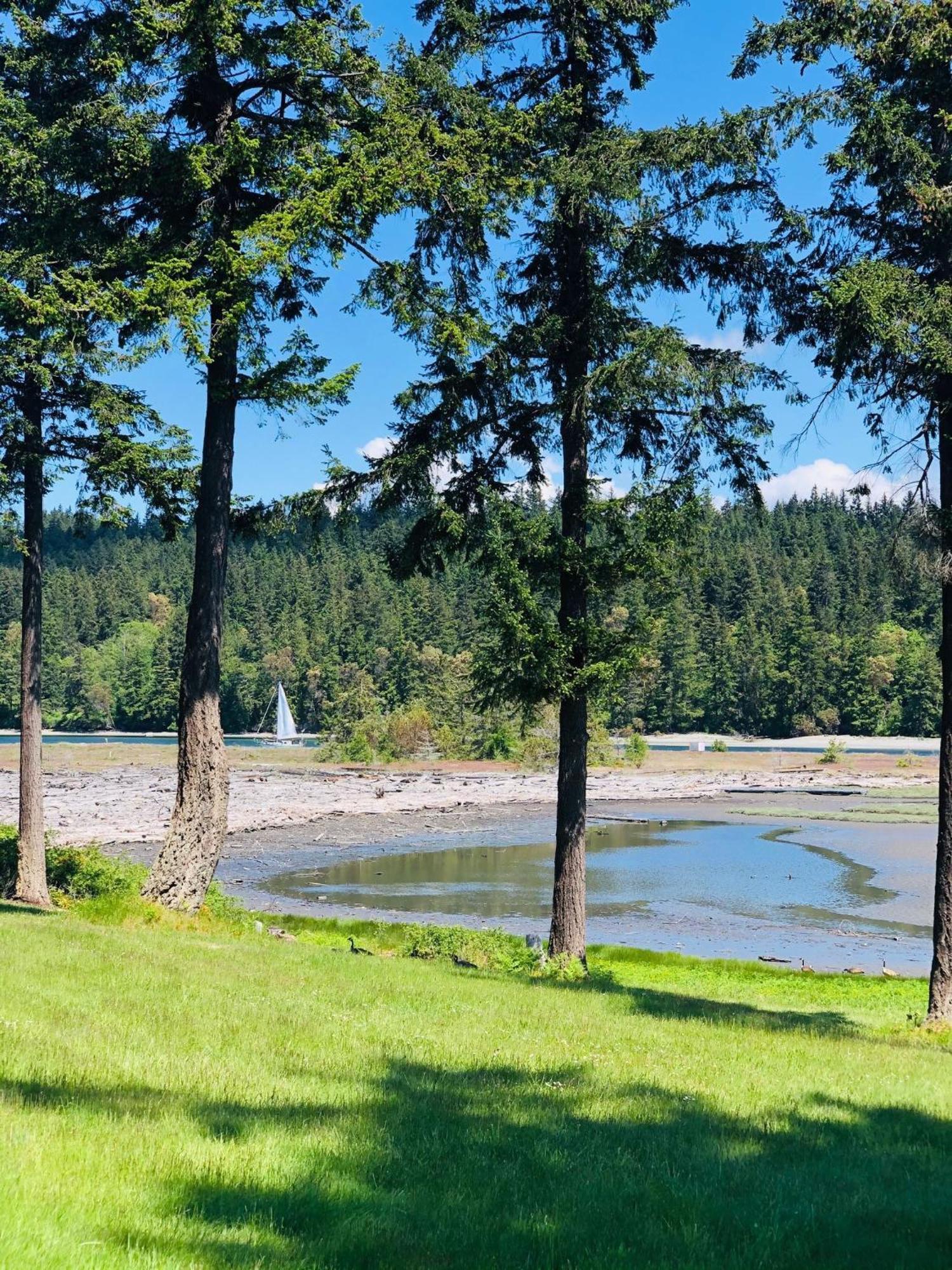 Beautiful Oceanview Retreat 2 Bedroom Home Port Hadlock-Irondale Exterior foto